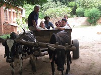 Op weg naar villagetour met de ossenkar