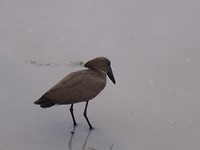 IMG_3353