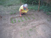 threes haar moestuin