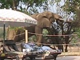 moeder en dochter bij zwembad Marula