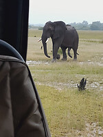 ons eerste ritje in wildpark