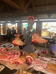 trotse slager die 2 varkens heeft geslacht