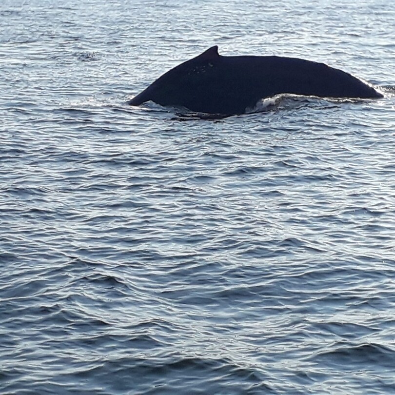 Tadoussac