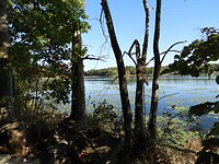 Cananoque