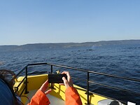 Tadoussac