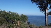 20180727_171803