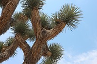 IMG_0759