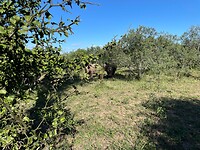 IMG_7899