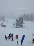 The piste