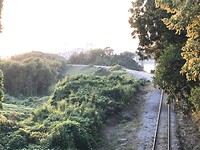 IMG_9119