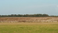 IMG_9425