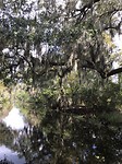 IMG_9288