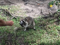 IMG_9311