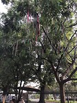 IMG_9370