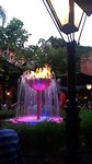 IMG_9444