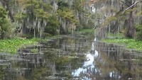 IMG_9474