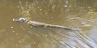 IMG_E9283