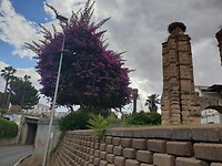 20220604_190409