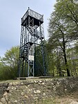 IMG_2767