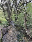 IMG_2768