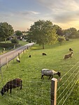 IMG_4801
