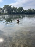 IMG_4811