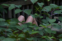DSC_4536