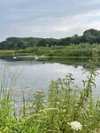 IMG_4826