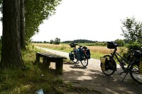 DSC_4586