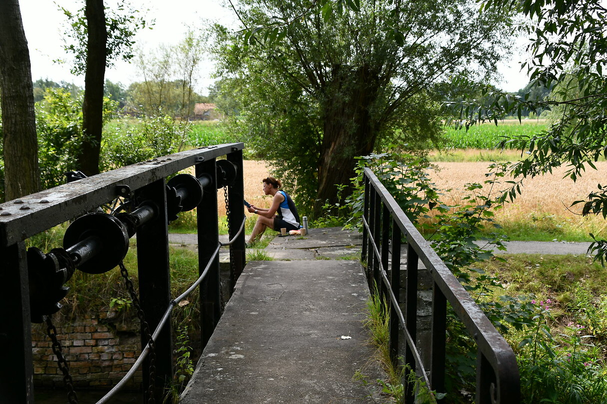 DSC_4594