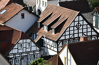 DSC_4635