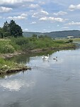 IMG_4843
