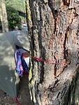 IMG_4932