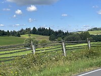 IMG_4957