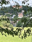 IMG_4959