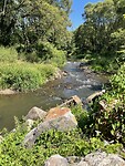 IMG_4965