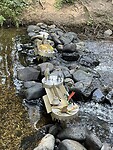 IMG_4967
