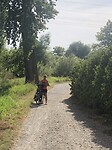 IMG_6931