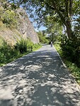 IMG_4975