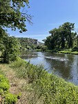 IMG_4974