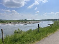 IMG_5981