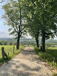 IMG_5986