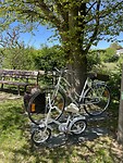 IMG_6016