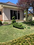 IMG_6056
