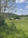 IMG_6070