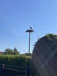 IMG_6090