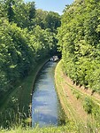 IMG_6099