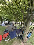 IMG_6112