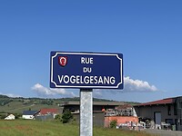 IMG_6139