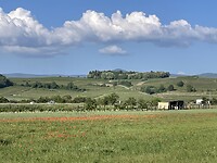 IMG_6141